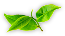 快三官方APP下载 - 手机随时查看开奖
